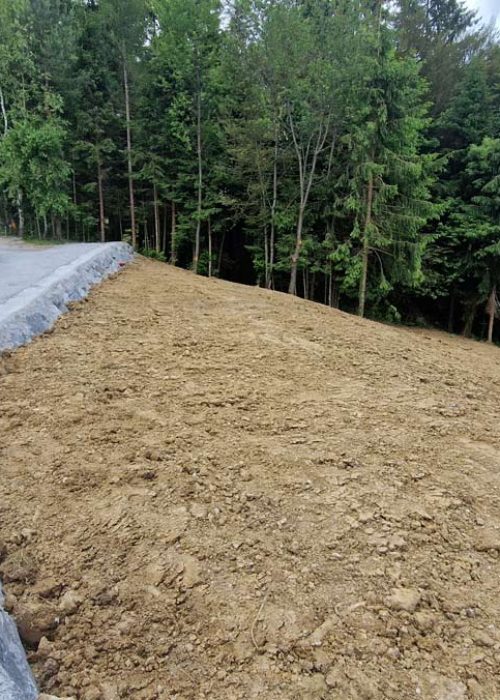 Sanacija-plazu-s-kamnito-zložbo-Podvrh